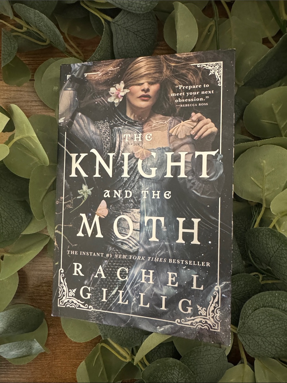 The Knight and the Moth by Rachel Gillig